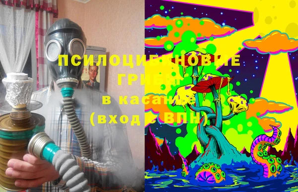 COCAINE Белокуриха