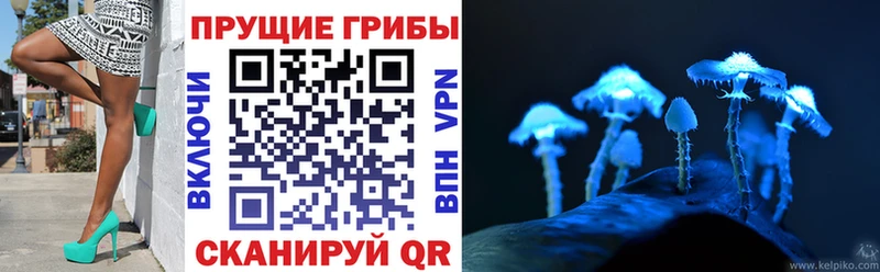 Псилоцибиновые грибы Psilocybe  kraken маркетплейс  Дальнегорск 